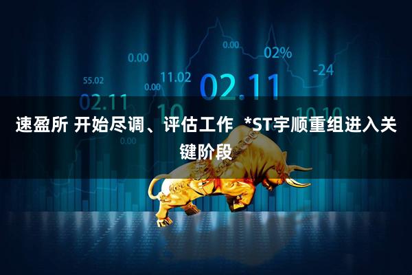 速盈所 开始尽调、评估工作  *ST宇顺重组进入关键阶段