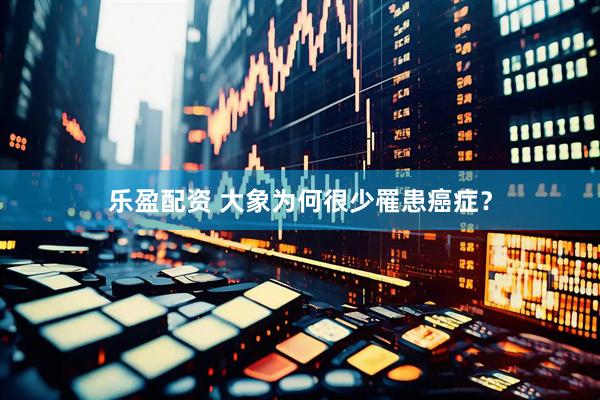 乐盈配资 大象为何很少罹患癌症？