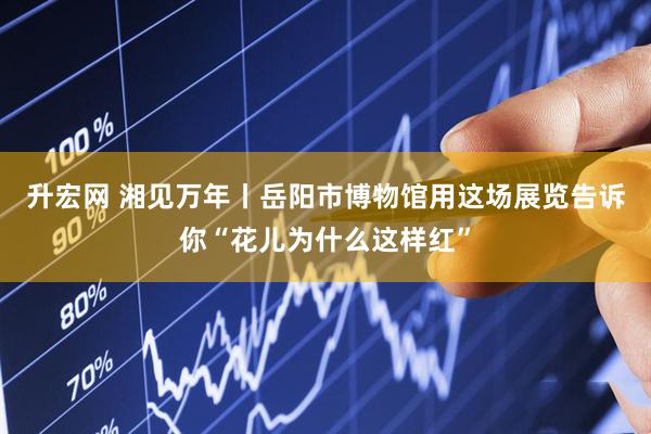 升宏网 湘见万年丨岳阳市博物馆用这场展览告诉你“花儿为什么这样红”
