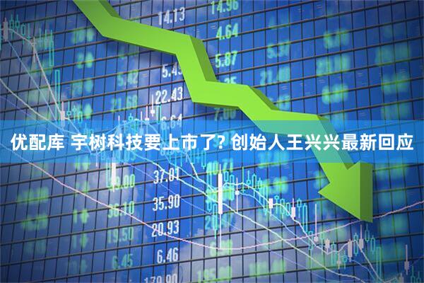 优配库 宇树科技要上市了? 创始人王兴兴最新回应