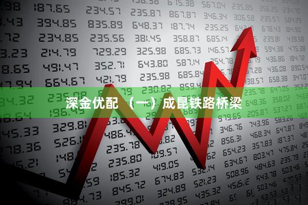 深金优配 （一）成昆铁路桥梁