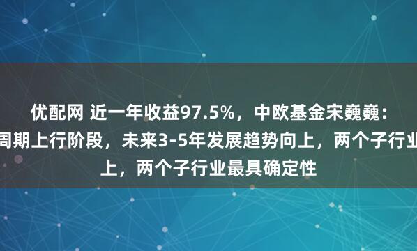 优配网 近一年收益97.5%，中欧基金宋巍巍：半导体处于周期上行阶段，未来3-5年发展趋势向上，两个子行业最具确定性