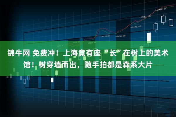 锦牛网 免费冲!上海竟有座 “长”在树上的美术馆!树穿墙而出,随手拍都是森系大片